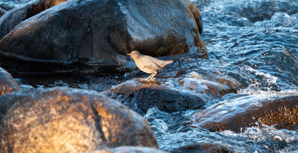 Small Town New&nbsp;Year